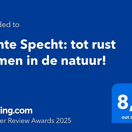 Bonte Specht: Tot Rust Komen In De Natuur! Otterlo Esterno foto