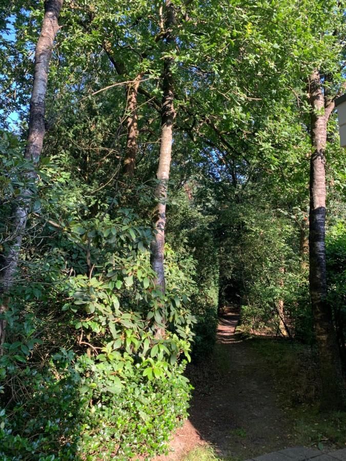 Bonte Specht: Tot Rust Komen In De Natuur! Otterlo Esterno foto