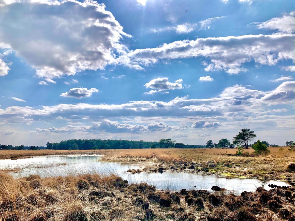 Bonte Specht: Tot Rust Komen In De Natuur! Otterlo Esterno foto